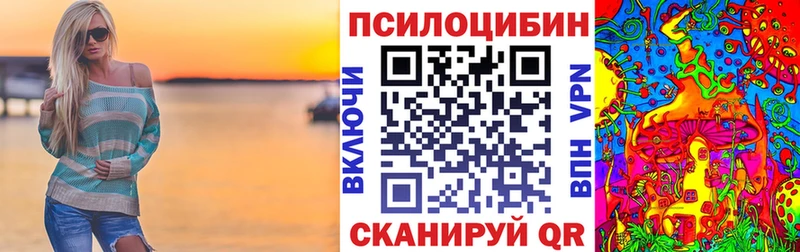 дарк нет наркотические препараты  кракен вход  Богучар  Галлюциногенные грибы MAGIC MUSHROOMS 